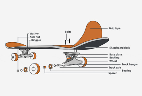 Skate Borad Structure